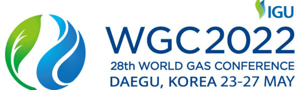 WGC2022 logo_horizontal WGC2022 logo_horizontal