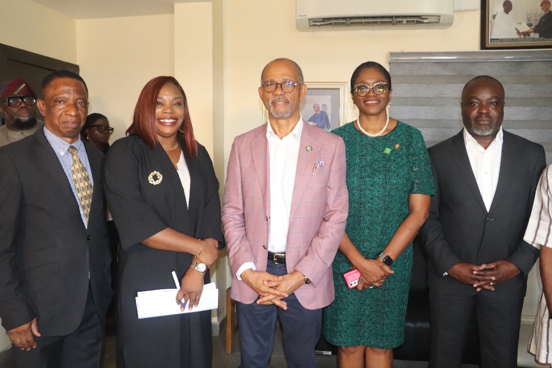 LAGOS PARTNERS NEMSAS TO TACKLE MATERNAL MORTALITY THROUGH REMSAT PROGRAMME