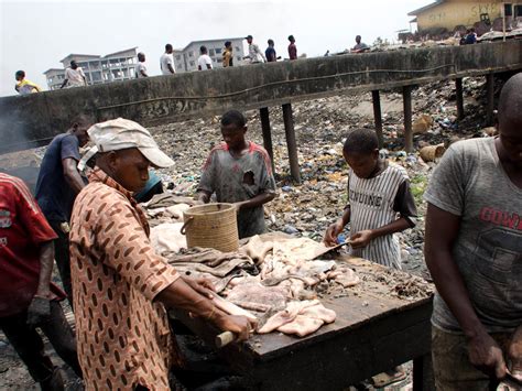 Lagos, Earthcare Nigeria To Partner On Abbatoir Waste Management