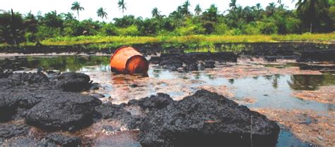 HEDA Report: Bayelsa Faces Severe Environmental and Health Challenges from Oil Activities