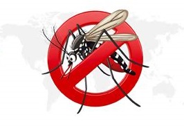 World Malaria Day: C21ST Advocates Climate Resilient Solutions to Combat Malaria