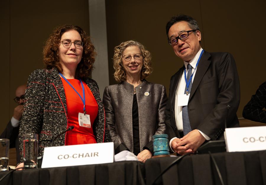 Nations Establish New Intergovernmental Science-Policy Panel on Chemicals, Waste and Pollution